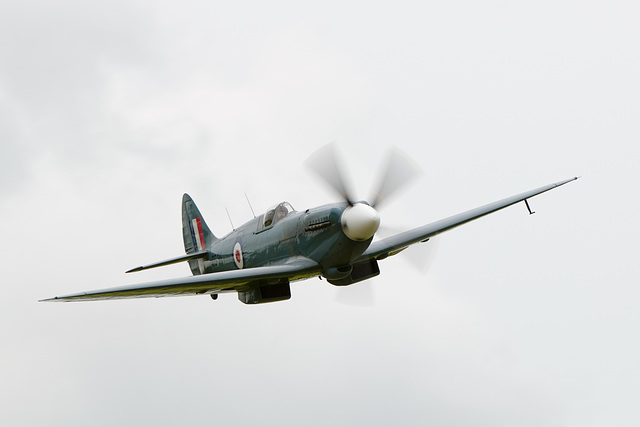 Spitfire PR Mk XIX  (b)