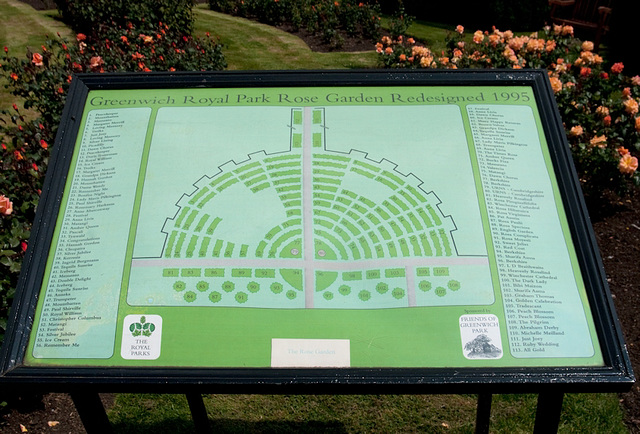 Rose Garden Plan