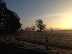 Frosty Staffordshire Morning