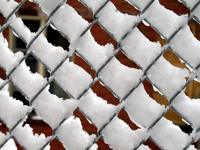 Snowy Fence