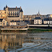 Le Château d'Amboise - Indre-et-Loire