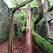 Garden Facade, Haddo House, Aberdeenshire