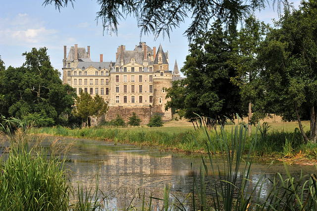 L'étang et le Château de Brissac