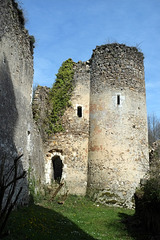 Ruines du Château de Vaujours - Indre-et-Loire