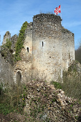 Ruines du Château de Vaujours - Indre-et-Loire