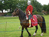 Roman Re-Enactors