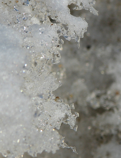 Sculpture in ice