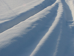 Waves of snow