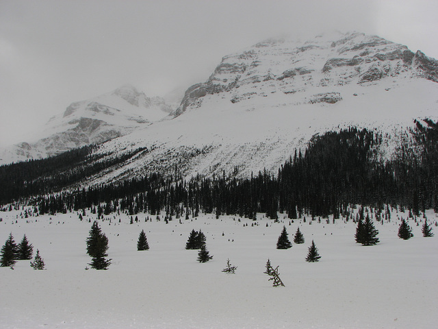 A view from Bow Summit