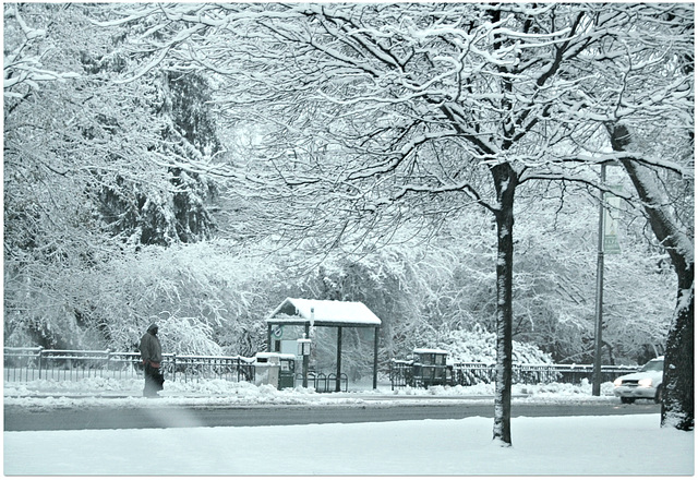 A Winter day ~ Downtown, East Lansing MI