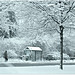 A Winter day ~ Downtown, East Lansing MI