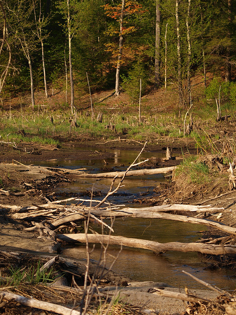 once glorious trout fishing