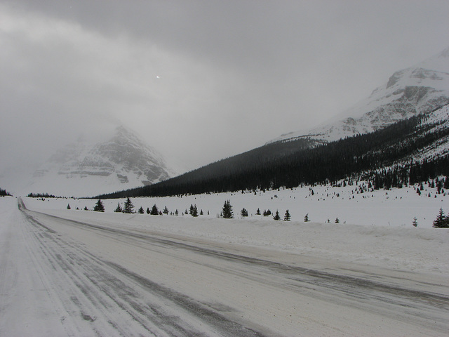 Bow Summit blizzard