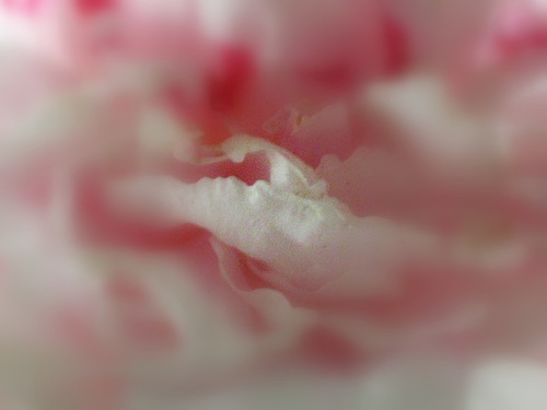 More R"a"spberries with Cream :)