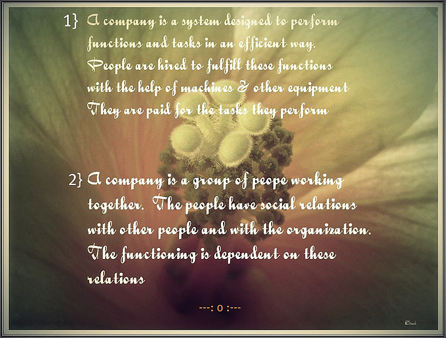 A Company is a system.....