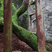 Garden Facade, Haddo House, Aberdeenshire