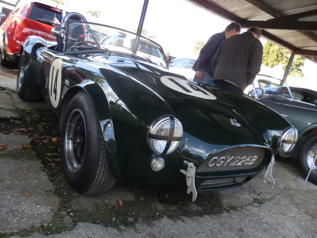 bamdsep141012 (1132)