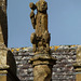 little toller farm, toller fratrum, dorset