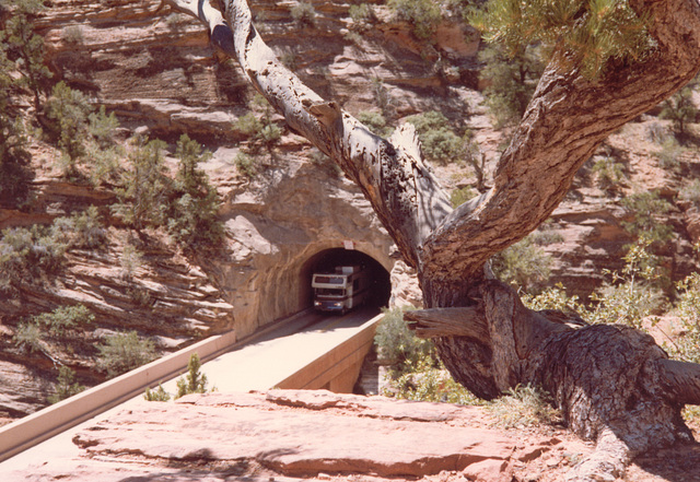 Tunnel at Zion