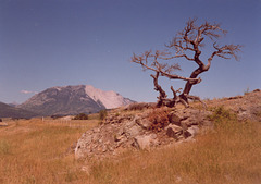 Frank Slide, Crowsnest Pass