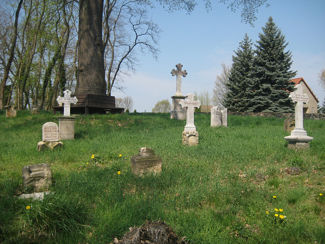 Alter Friedhof in Telz/1