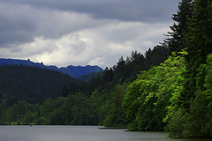 Lake Padden