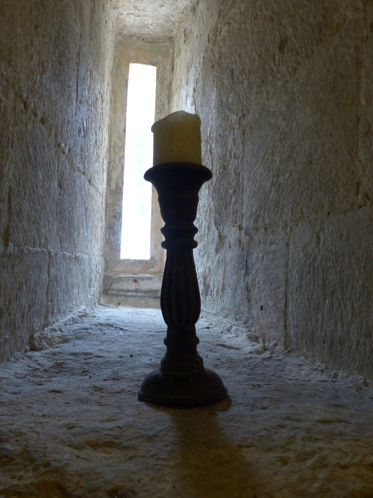 Portland Castle (2) - 22 September 2014