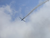 aaacsmay52013 (1238)