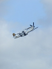 aaacsmay52013 (1257)