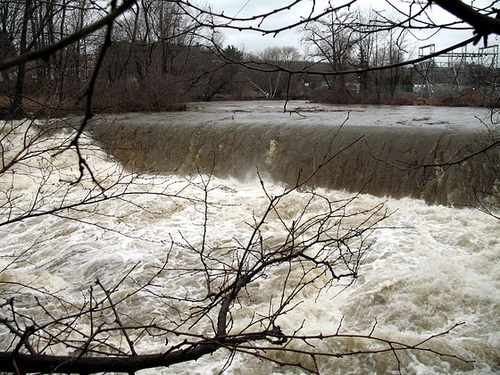 Muddy Waters