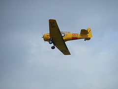 aaacsmay52013 (1272)