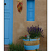 Adobe home with aqua door and chili ristra