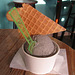 Black Sesame Gelato