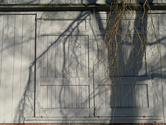 Barn Door with Shadow