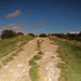 Chalk Path, Avebury Perimeter
