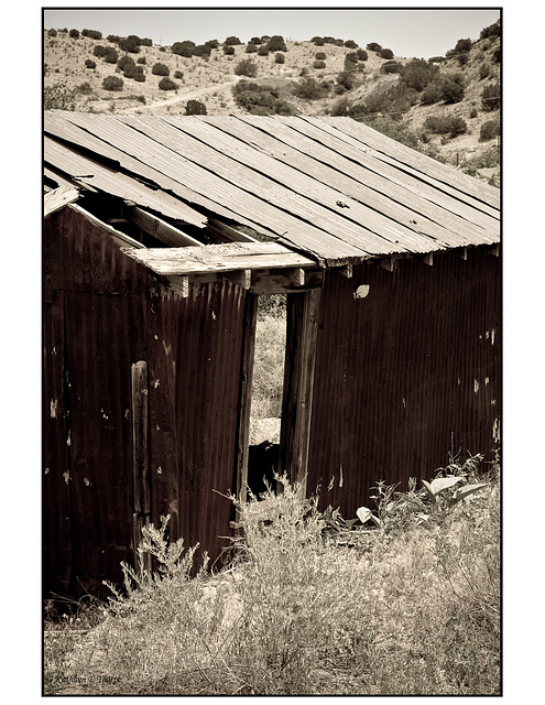 Tin shed in black and white