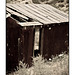 Tin shed in black and white