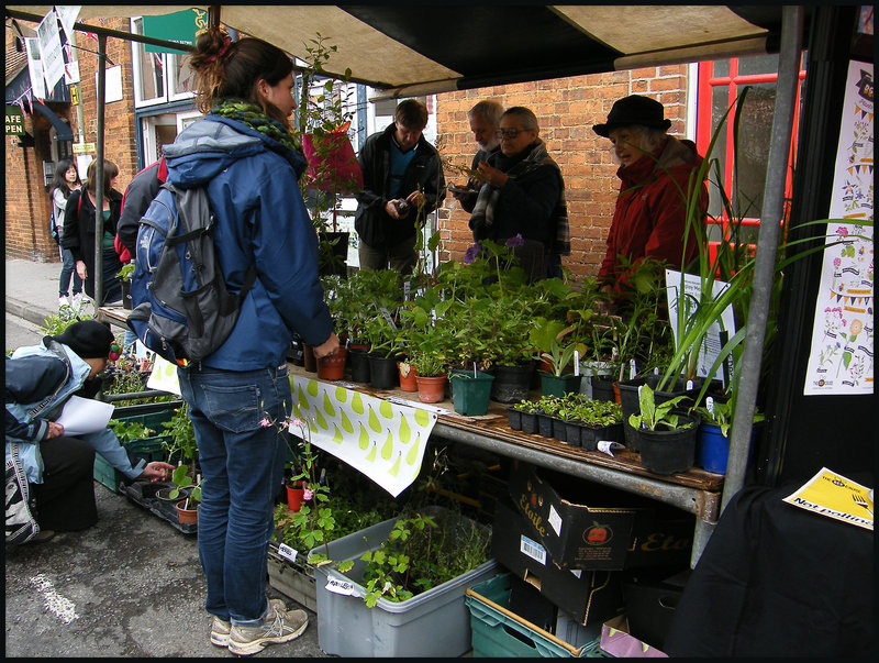 plant stall