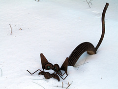 Snow Cat