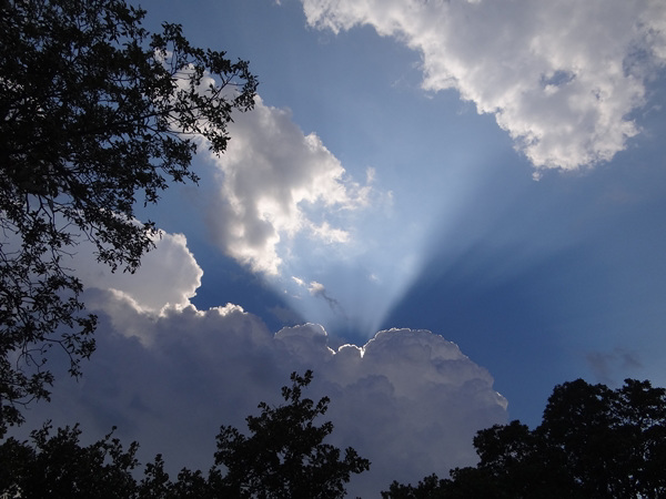 Birth of a thunderstorm 13-7-12