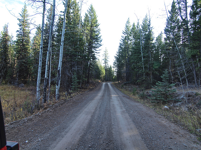 Road to Helena Lake