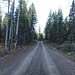 Road to Helena Lake