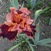 Impressionist (2)