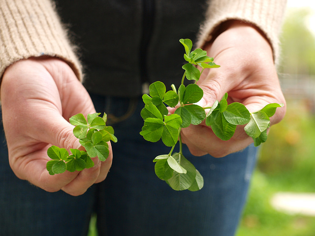 handfuls of luck