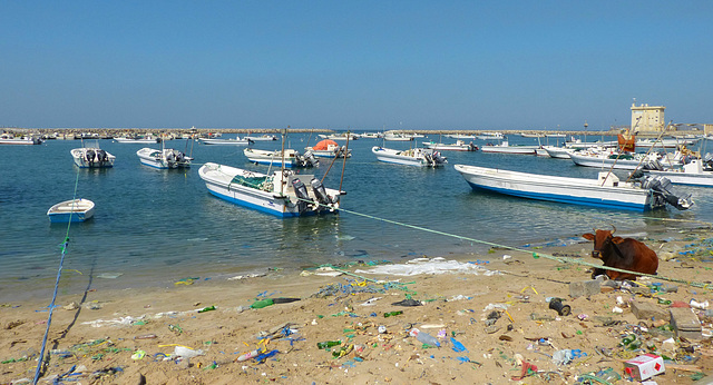 Fischerhafen in Ghalilah