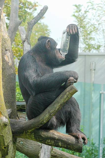 Leer! (Zoo Augsburg)