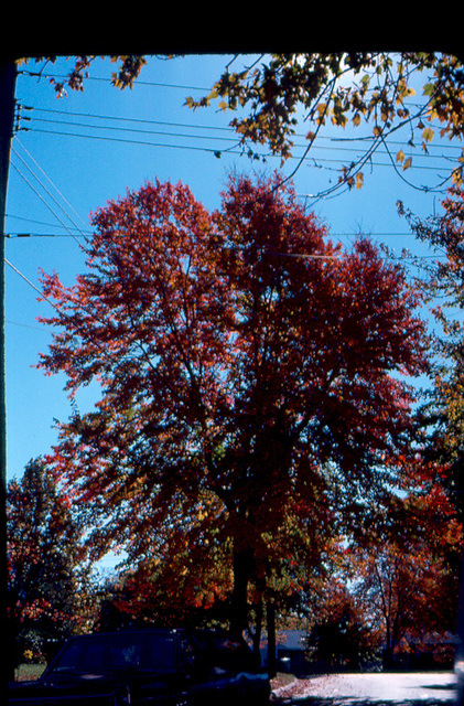 1973, Fall - In and around Washington, DC