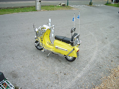 sscp (1390)