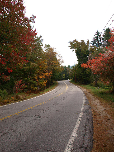 The Road Home