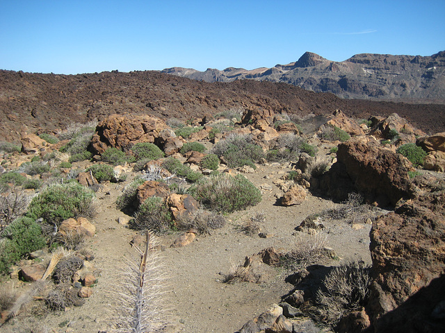 Teneriffa - Teide National-Park